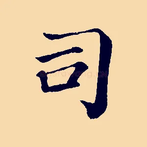 司