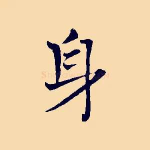 身