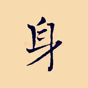 身