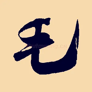 毛