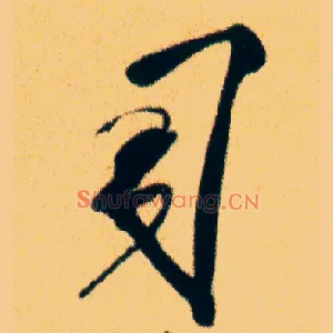 司