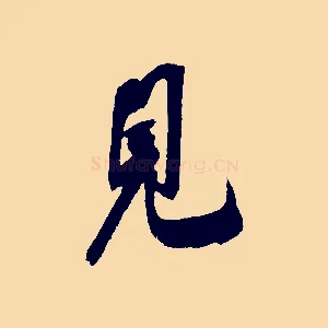 見