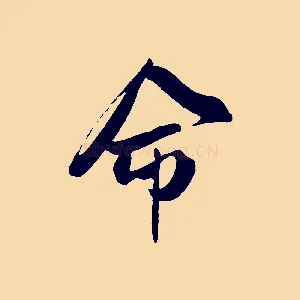 命