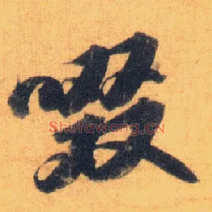 啜