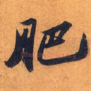 肥