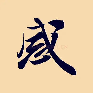 感