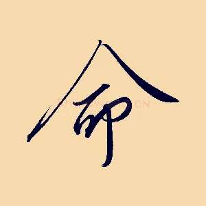 命