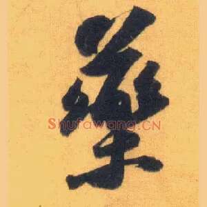 药