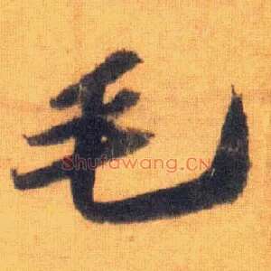 毛
