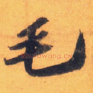 毛