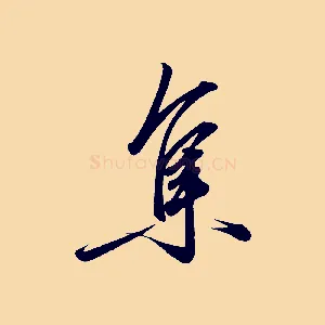 集