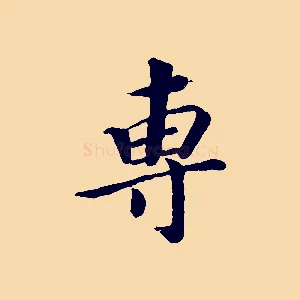 專