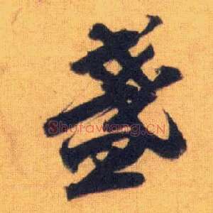 盏