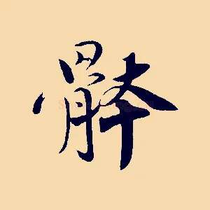 體