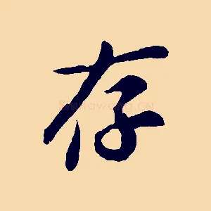 存