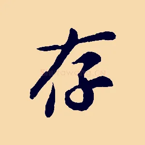 存