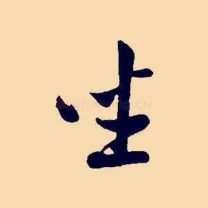座