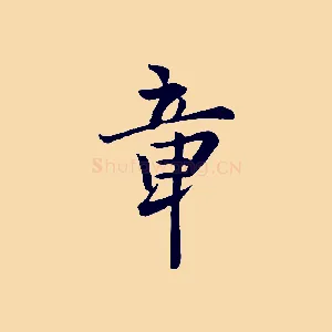 章