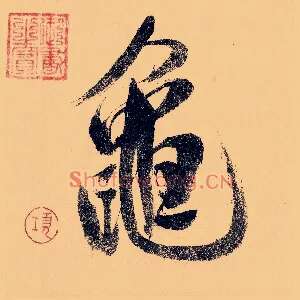 龟