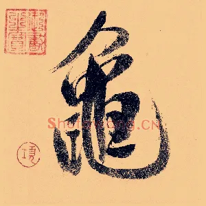 龟
