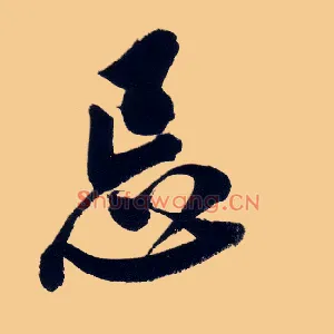 忌