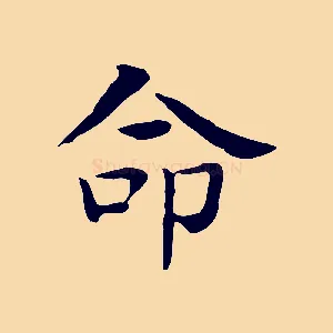命