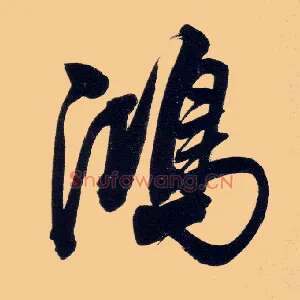 鸿