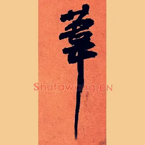 苇