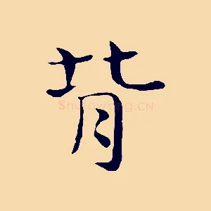 背