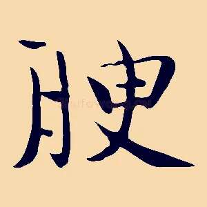腴