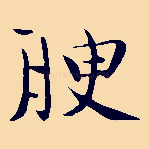 腴