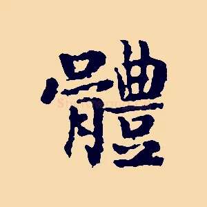 體