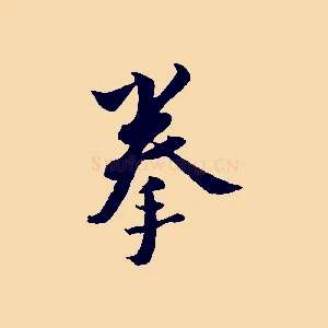 拳