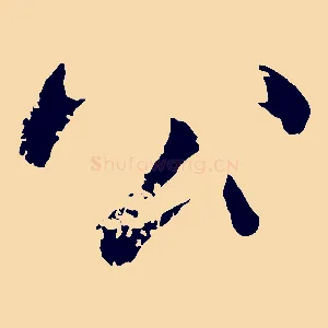 公