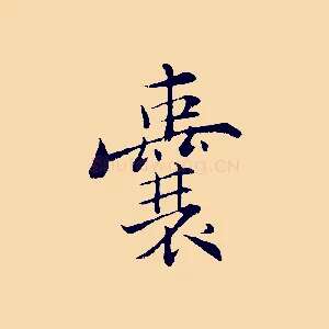 囊