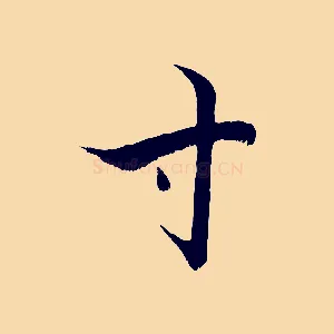 寸