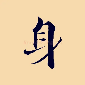 身