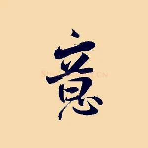 意