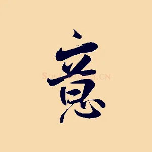 意