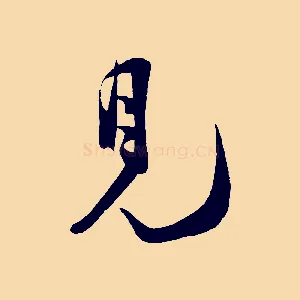 見