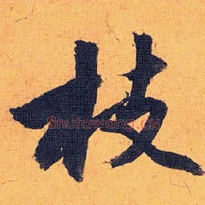 枝