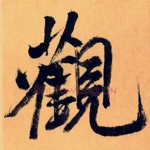 观