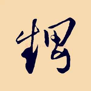 甥