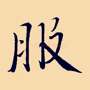服
