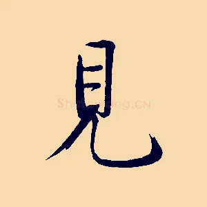 見