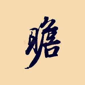 瞻