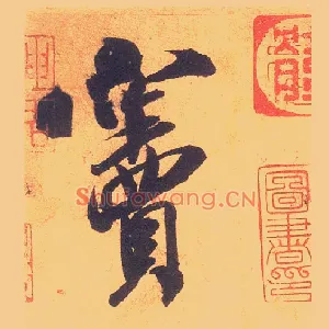 窦