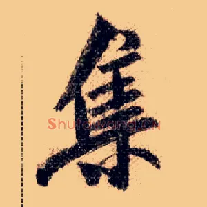 集