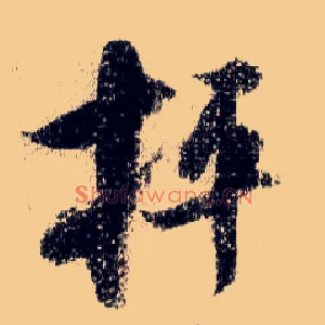 抨