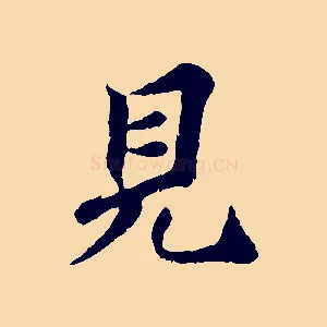 見